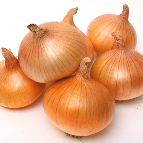 Vöröshagyma, bio (HU) - Rábcakapi Biokertészet - 1 kg