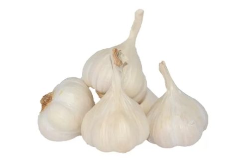 Fokhagyma, bio (HU) - Rábcakapi Biokertészet