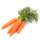 Sárgarépa, új termés, bio (HU) - Rábcakapi Biokertészet - 1 kg