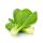 Pak choi, bio (IT) (300 g/db)