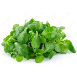 Madársaláta (galambbegysaláta), bio, (IT) (100g)