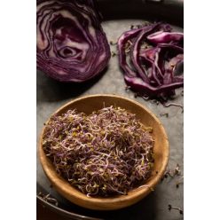 Vöröskáposzta csíra, bio, Bio Háló (50g)