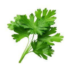 Petrezselyem zöld, fagyasztott, bio, Ökoland (50g)