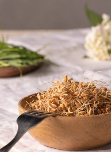 Búza csíra, bio, Bio Háló, (100 g)