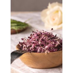 Sangó retek csíra, bio, Bio Háló, (50g)