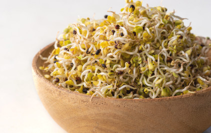 Repce csíra, bio, Bio Háló, (80g)