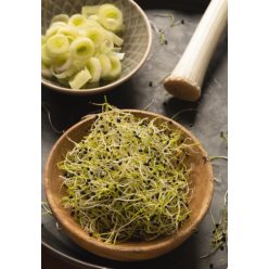 Vöröshagyma csíra, bio, Bio Háló (40g)