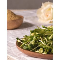 Napraforgó mikrozöld, csíra, bio, Bio Háló, (100g)