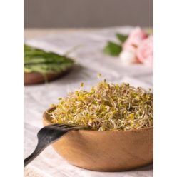 Mustár csíra, bio, Bio Háló, (80g)