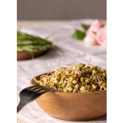 Mungóbab csíra, bio, Bio Háló, (100g)