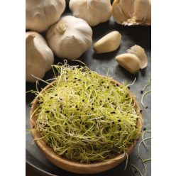 Fokhagyma csíra, bio, Bio Háló, (40g)