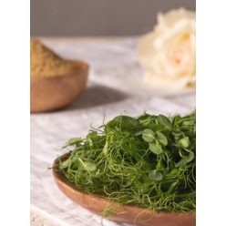 Borsó mikrozöld, csíra, bio, Bio Háló, (80g)