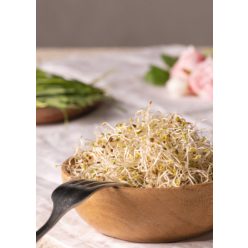 Ruccola-Lucerna csíra, bio, Bio Háló, (80g)