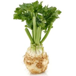 Zellergumó, bio, Rábcakapi