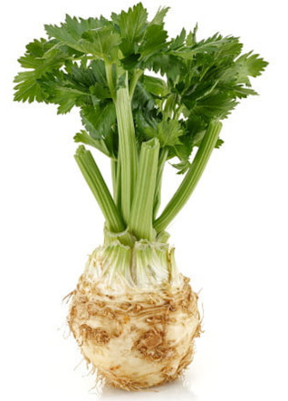 Zellergumó, bio, Rábcakapi